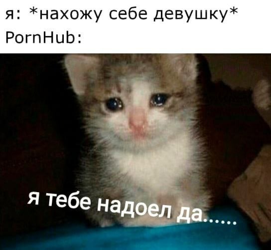 Картинки из рабочего чата 03.09.2021