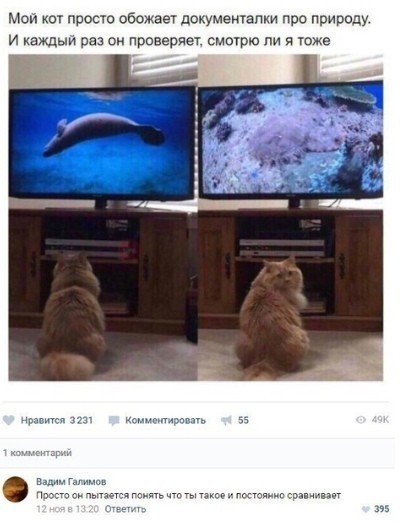 Баяны бабыЯны