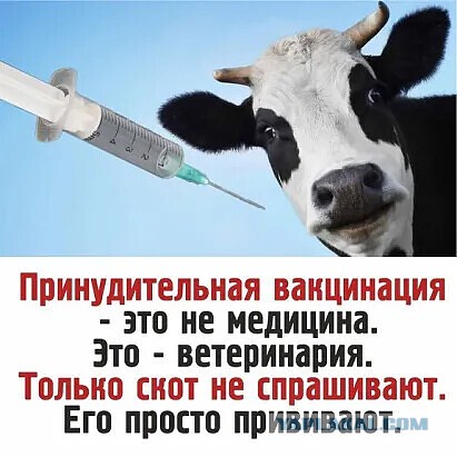 Поголовная вакцинация не спасает: Covid поглощает Германию и Центральную Европу