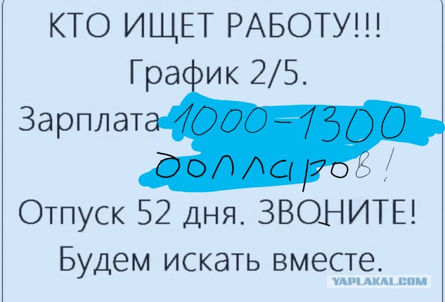 Всяческие картинки 15.12.2021