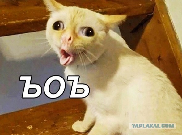 Уроки английского
