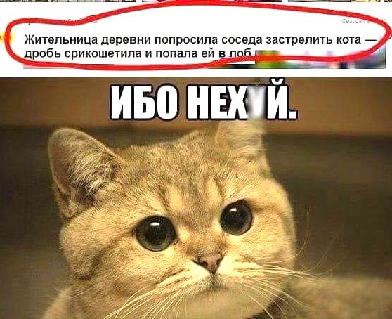 Чуток картинок 22.07.22