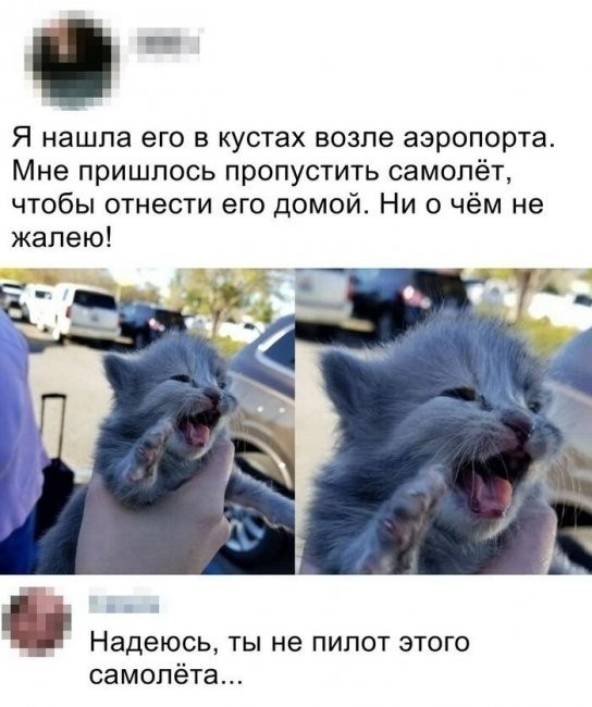 Скриншоты и комментарии из социальных сетей 26.08.22