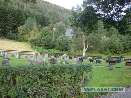 Деревня в которой я живу