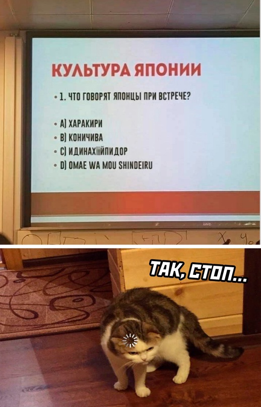 Весёлый полтишок 16.12.2022