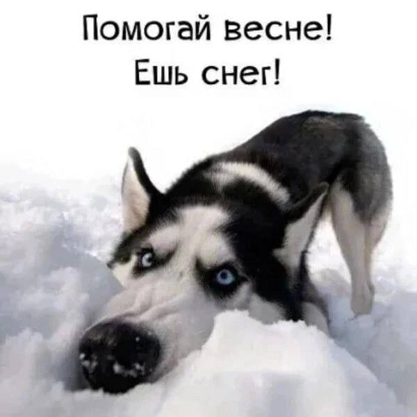Это правда?!