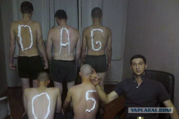 Обращение дагестанца к землякам