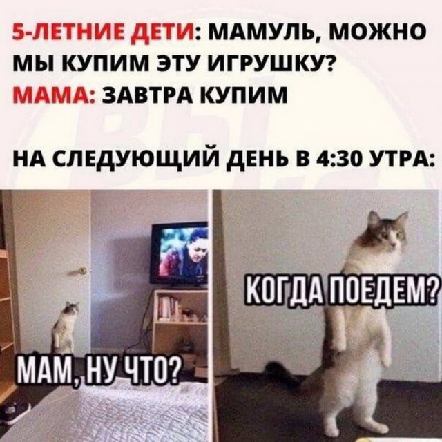 Смешные комментарии из социальных сетей 15.05.23