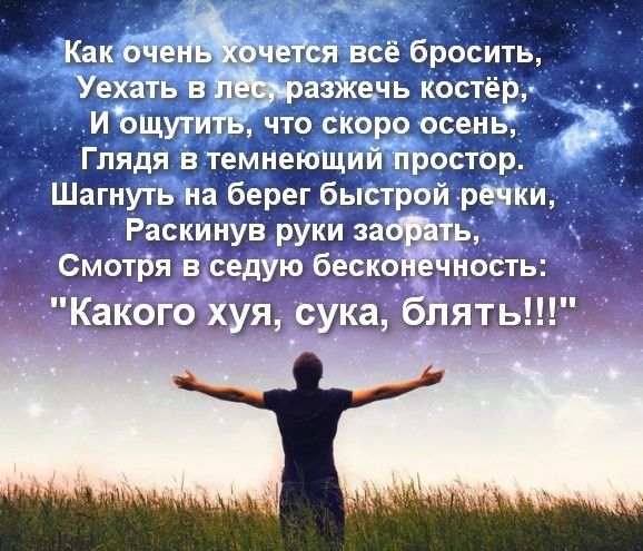 А ведь жизнь не так и плоха...