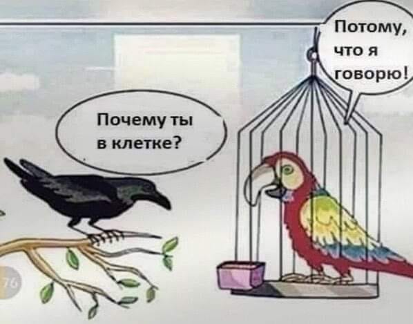 В Нижнем Тагиле одного из лучших врачей-педиатров оштрафовали по статье «Возбуждение ненависти или вражды»