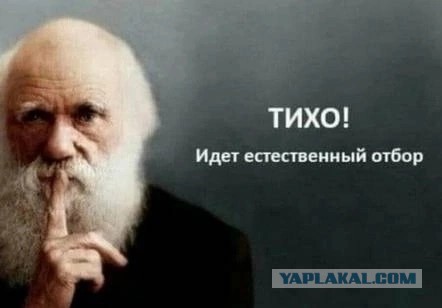 Еб*нул сальтуху напоследок