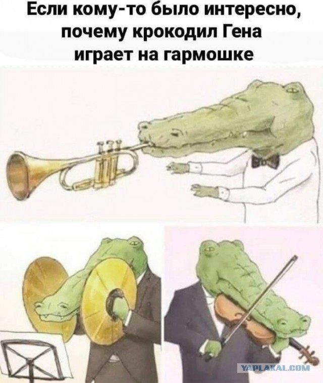 Сказка в жизни