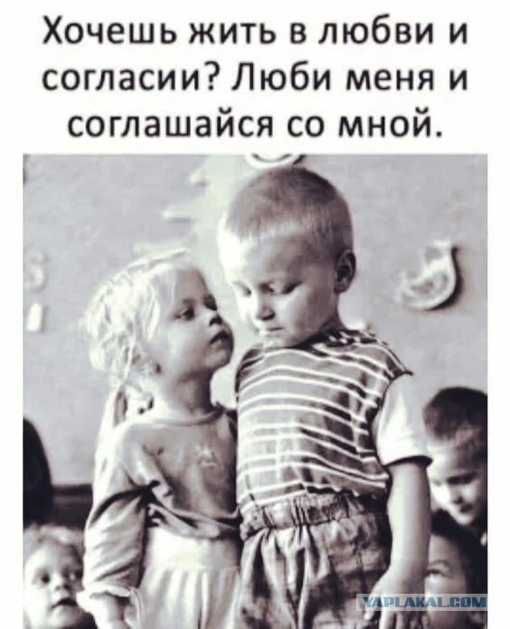 Совет да любовь!