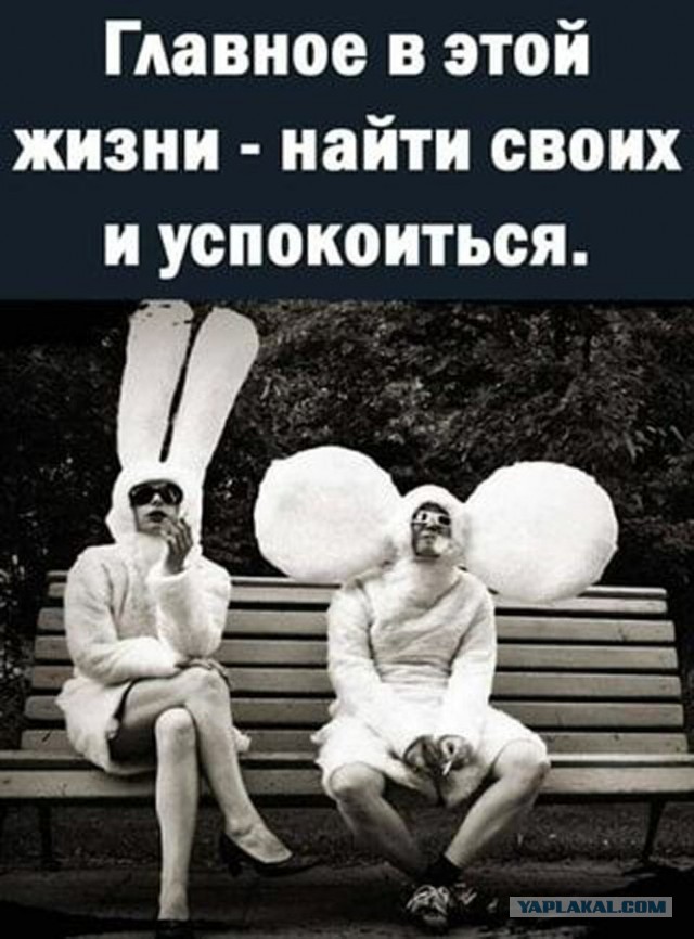 ⚡ ЯП, с Днем Рождения! С юбилеем! 20 лет ЯПу!