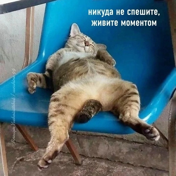 Так себе картинки 01.10.24