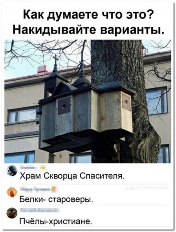 Подпеваем и деградируем вместе