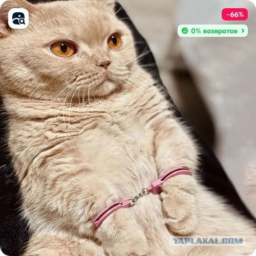 Кто-то доигрался⁠⁠