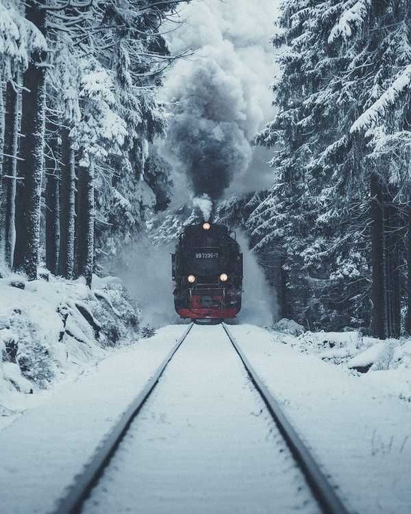 Прикольные и просто красивые картинки 13.12.2024