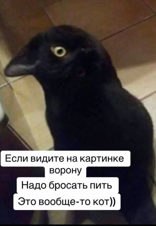 Как облегчить похмелье.