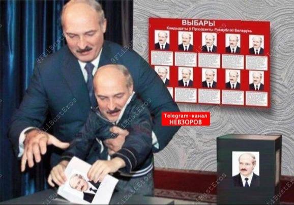 Выборы в Беларуси