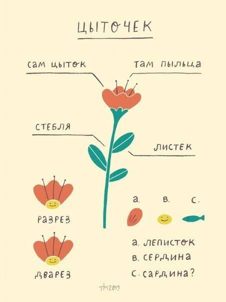 29 марта картинки