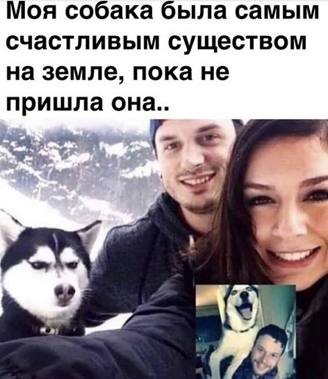 Веселые картинки в пятницу (11.04)