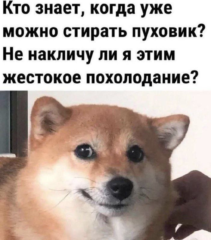 Иллюстрации