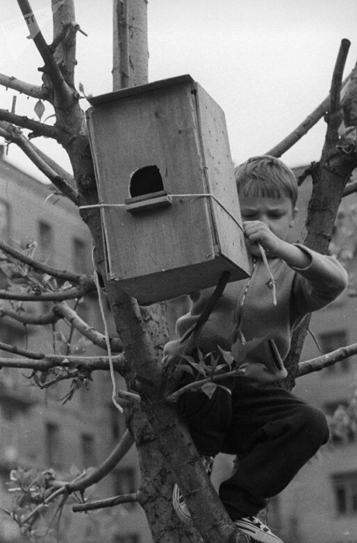 ​ Фотографии из прошлого нашей страны – 104