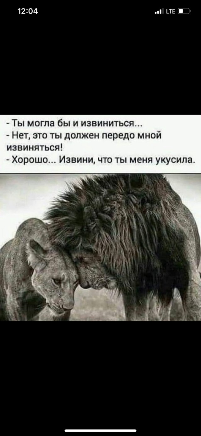 К котовторнику: подборка картинок-баянов с котиками и про котиков. Выпуск 13