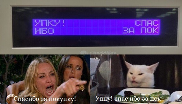 Знаменитый кот