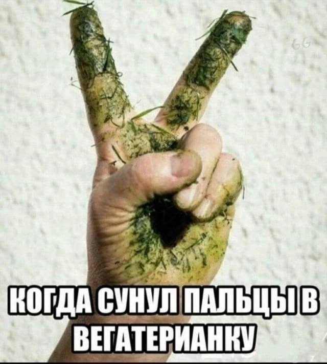 Нуштош 11.07.2025. Нейролингвистическое раскодирование (s4e3)