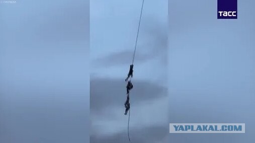 Набиуллина положительно оценила проект бюджета