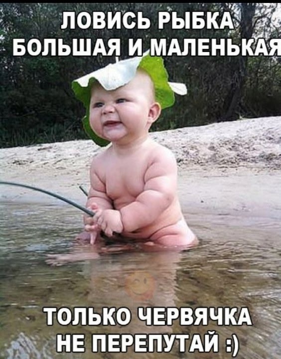 Веселое настроение в картинках (28.09.2025)