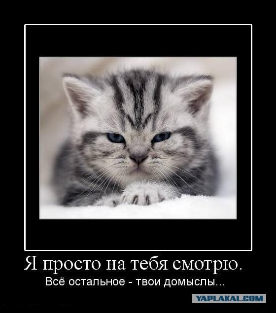 Последняя маленькая пятница октября.