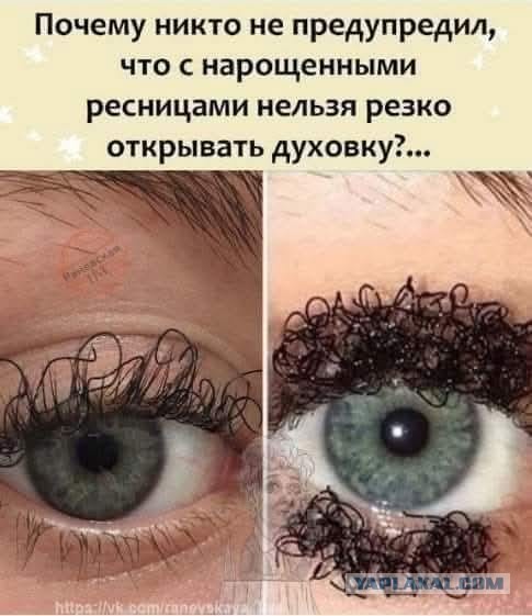 Веселое настроение в картинках (12.12.2025)