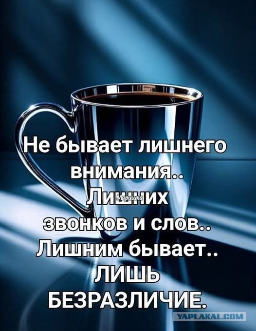 Так себе картинки 13.12.25