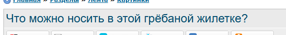 Что можно носить в этой грёбаной жилетке?