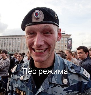 1 марта в России это День Котиков!