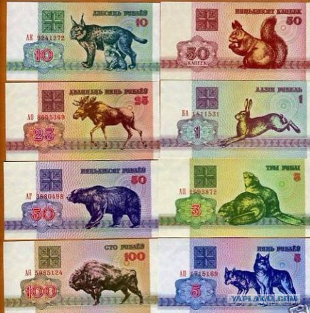 Белорусы сделали памятку для россиян, которые хотят переехать в Беларусь из-за постоянных блокировок и ограничений