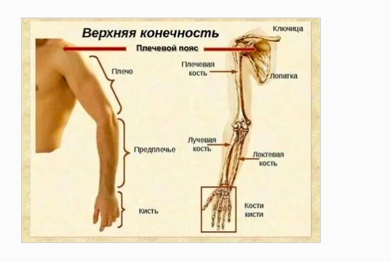 Век живи,век учись