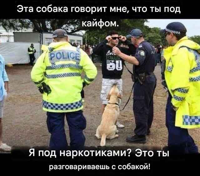 Среды картинки