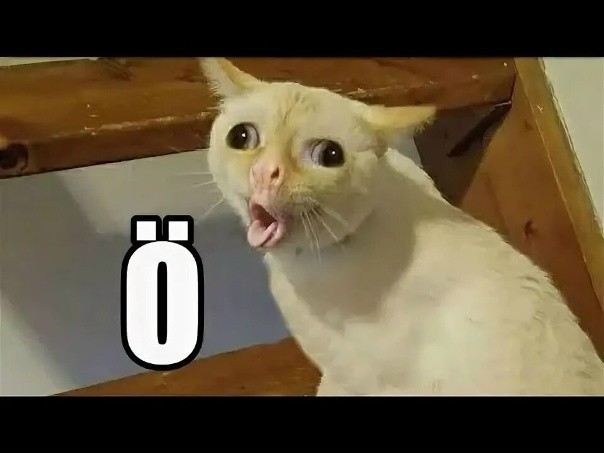 Эй, подруга