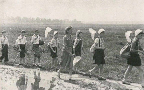 Пионерские истории.