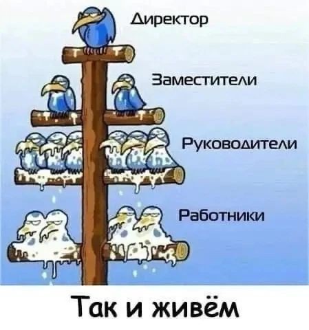 Веселые картинки в пятницу (16.10)