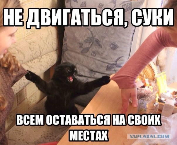 Ты не пройдешь, собака!