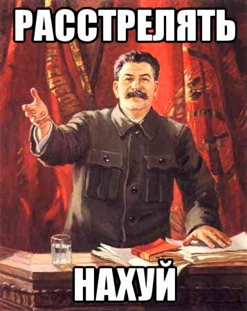 Автохулигана с Пионерского отпустили в зале суда.