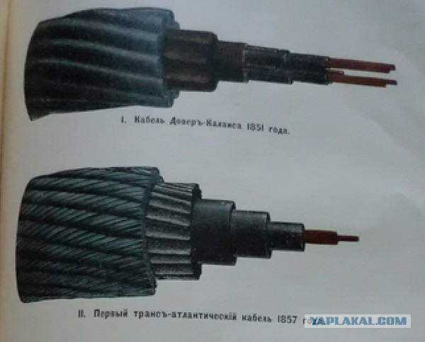Так выглядит подводный высоковольтный кабель