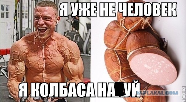 Лесная история