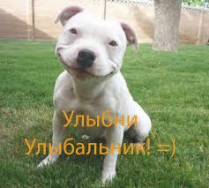 Плюсомет со шпалометом