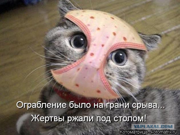 Картинки с утра.